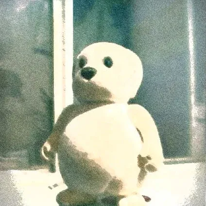 Polaroid: el Lic.