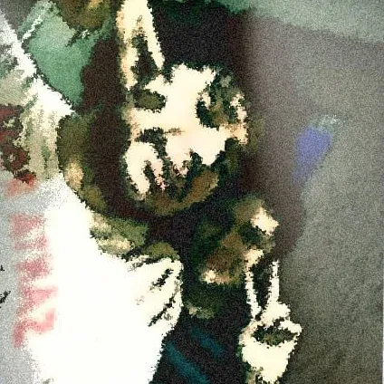 Polaroid: P.d.Z.