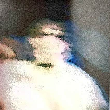 Polaroid: ?