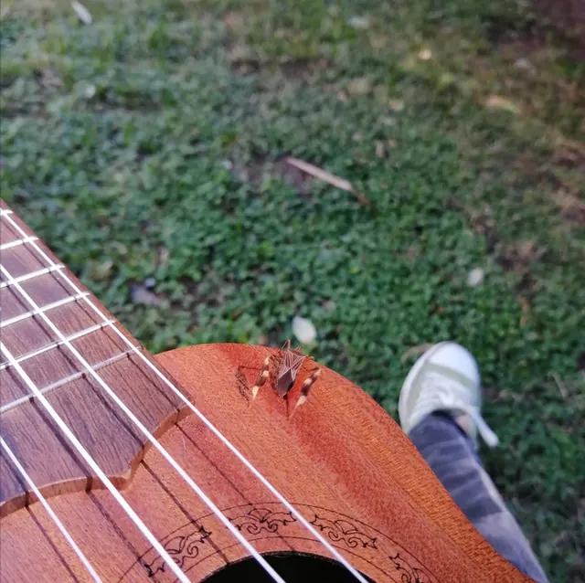 Adiós y Felicidad