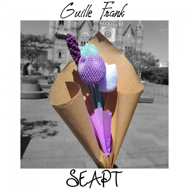 Portada Oficial de Seapt