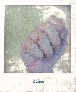 Imagen de un puño herido con la leyenda "Calma"